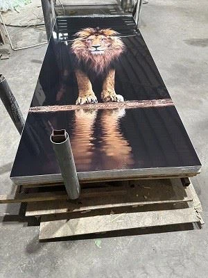 3D Waterproof Interior Decorative PVC UV Panel