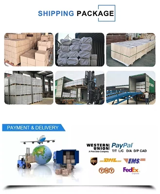product-329-400 product-329-400