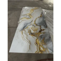 Modern UV Coated Wall Panels